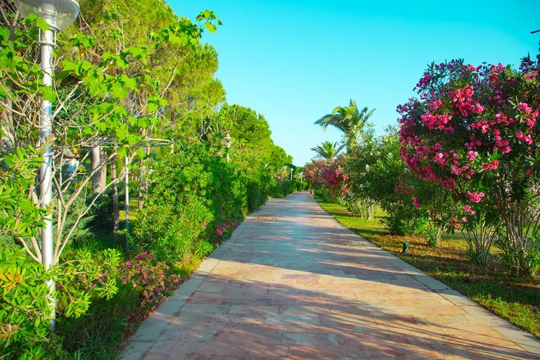 Genel - Venosa Beach 18